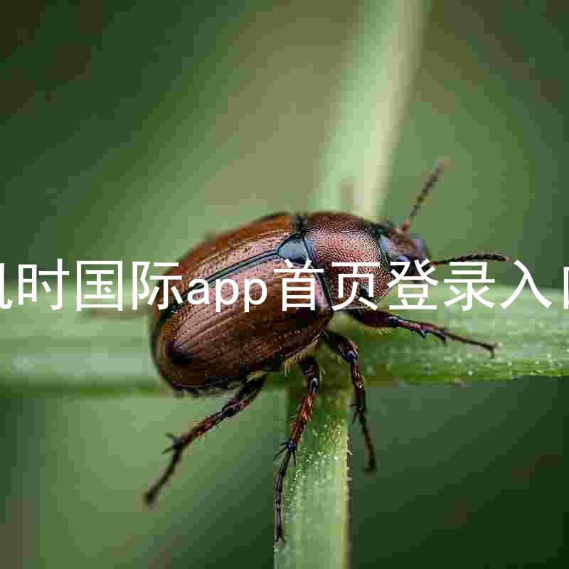凯时国际app首页登录入口